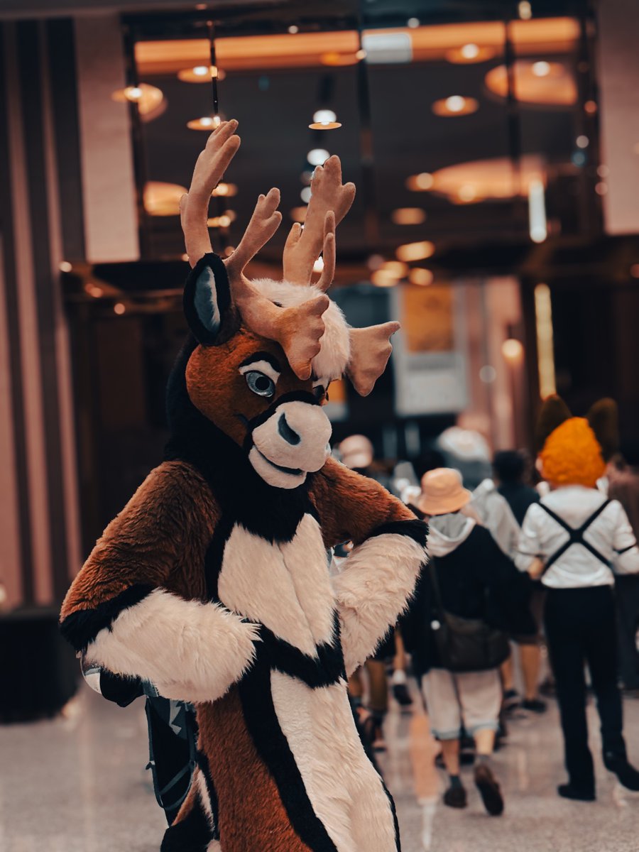Fullsuiting for the first time <a href="/infurnity/">Infurnity Taiwan Furry Convention</a> ! 🥰 #infurnity

Thank u for letting me borrow ur bou <a href="/_Skooma/">Skooma @ Nocturnal</a> 

I kinda loved being the tallest person at the con, maybe I do need antlers 🤔🦌