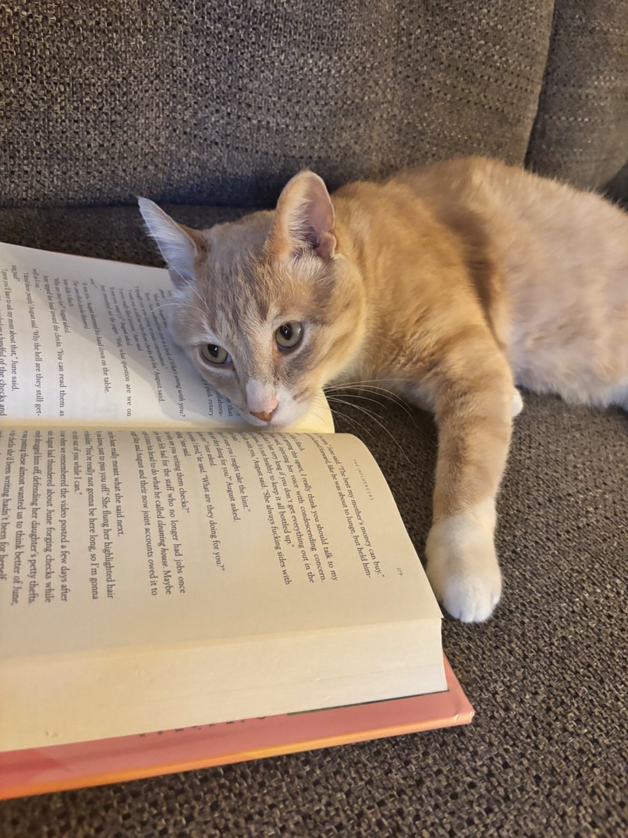 Rachel Werner tweet media