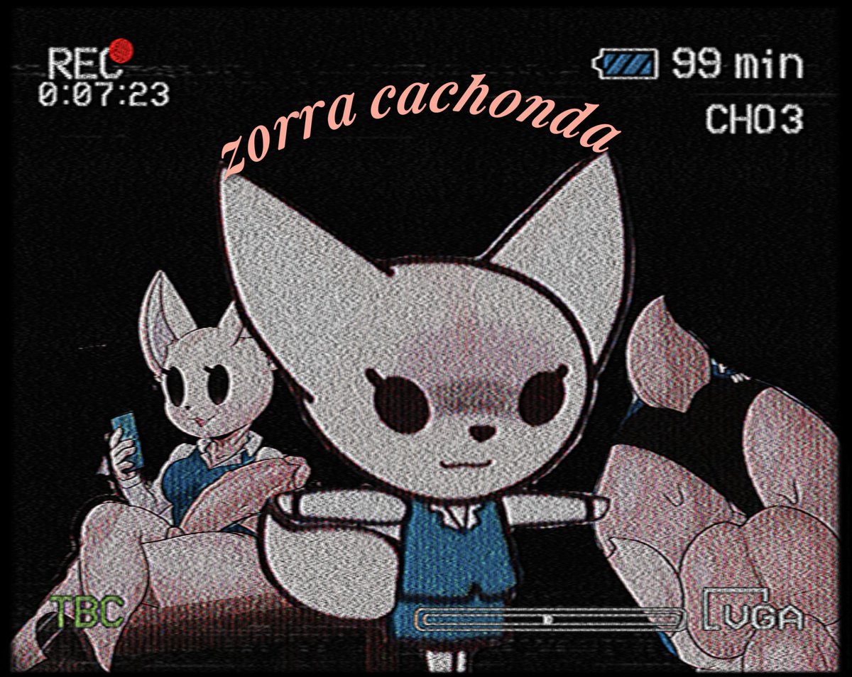 🐱𝑺𝒕𝒖𝒑𝒊𝒅 𝒄𝒂𝒕🐱 (0/4) tweet media