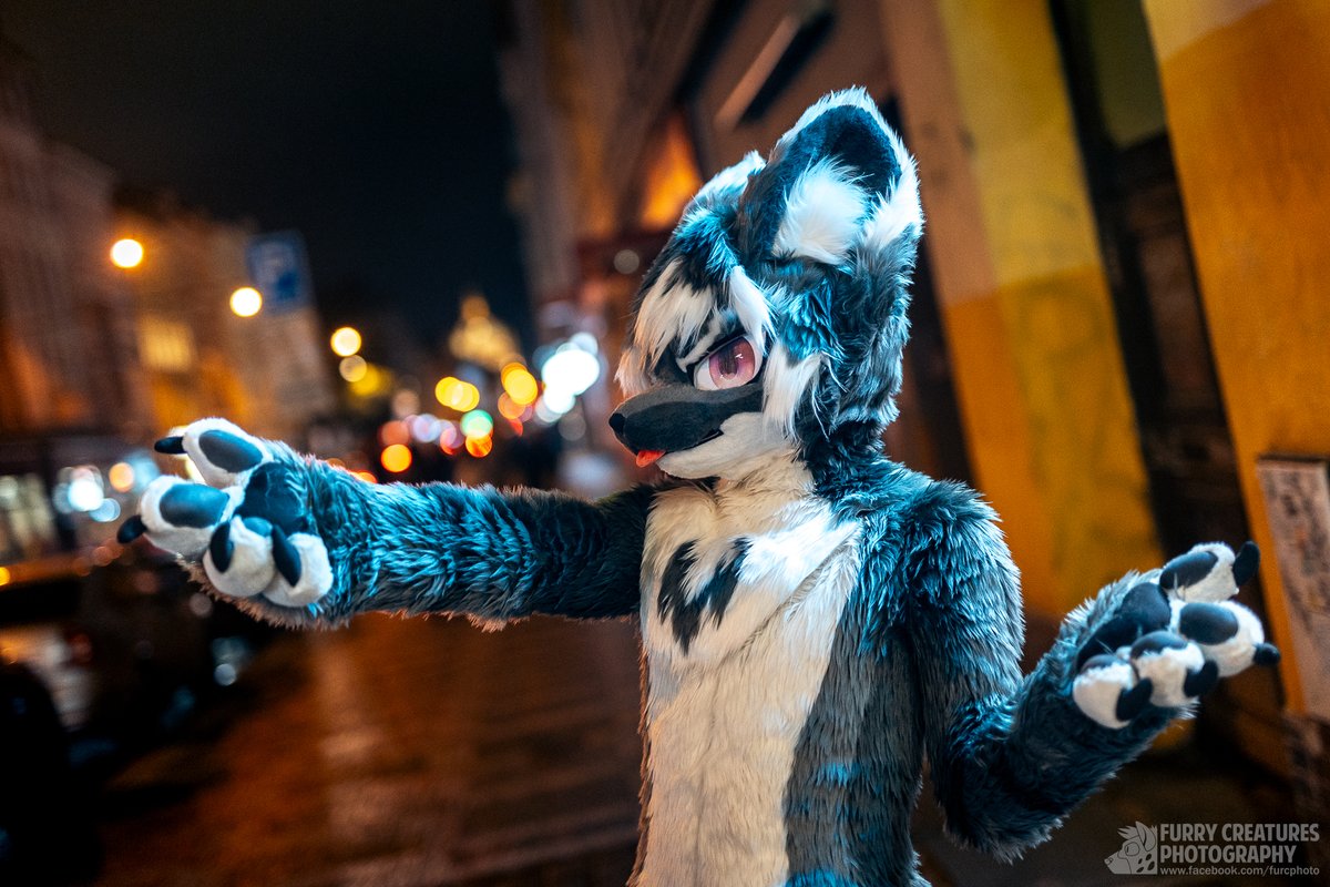 Follow me! I am not getting lost... this time
<a href="/FurCPhoto/">Furry C. Photo</a> 

#FursuitEveryday #FursuitFriday