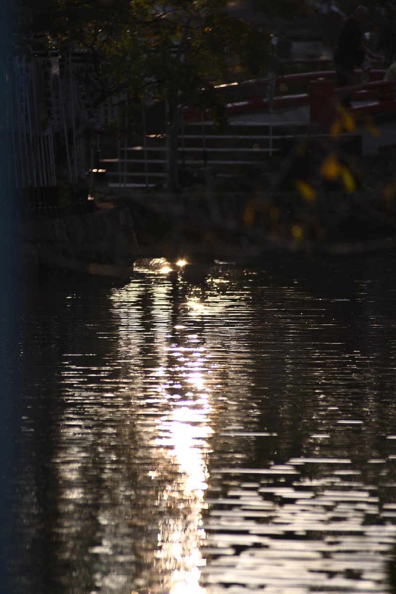 tonbo2031_vr's tweet image. 先日の鎌倉弾丸撮影にて