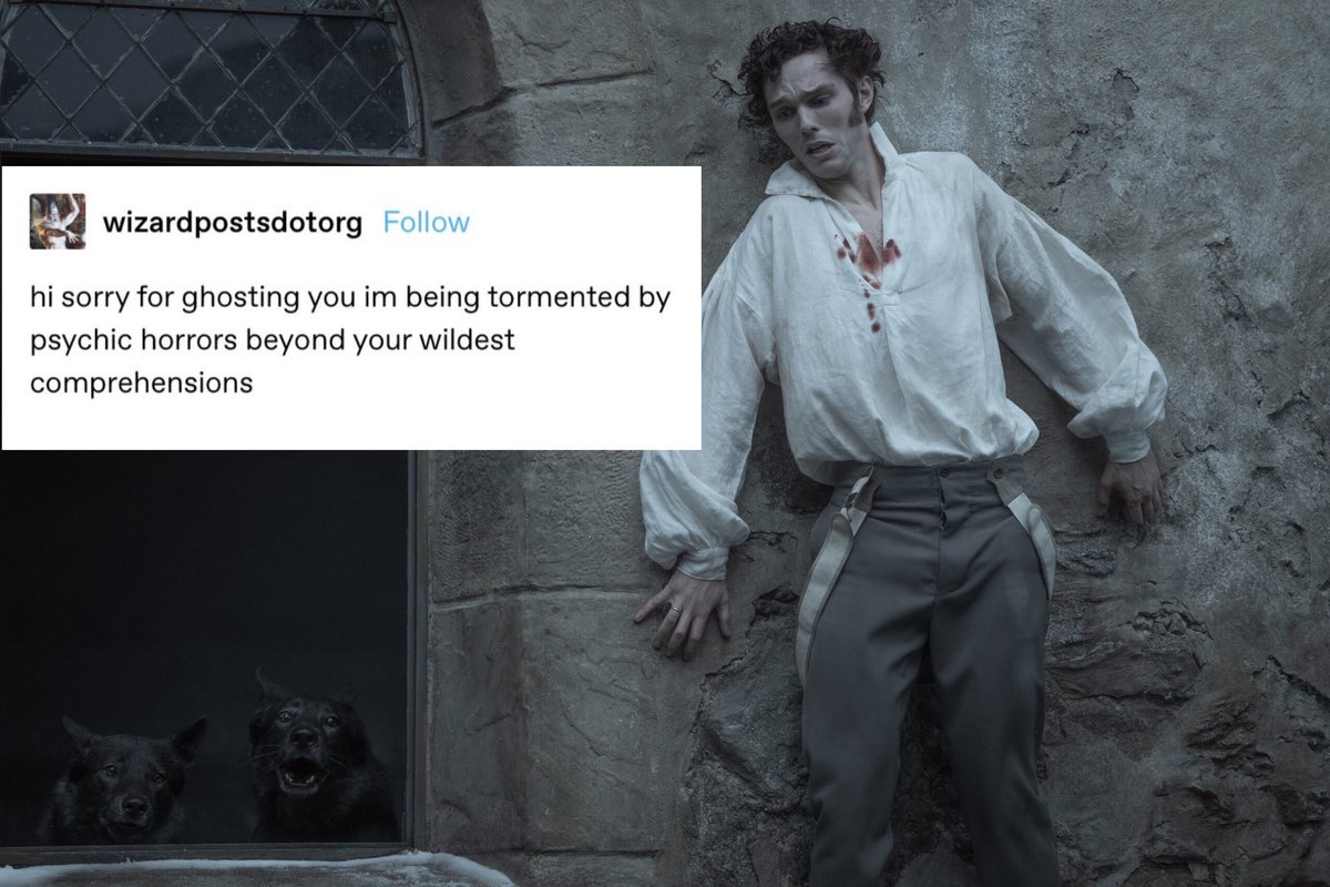 antonia 🐛 (@thebirthofvnus) on Twitter photo 