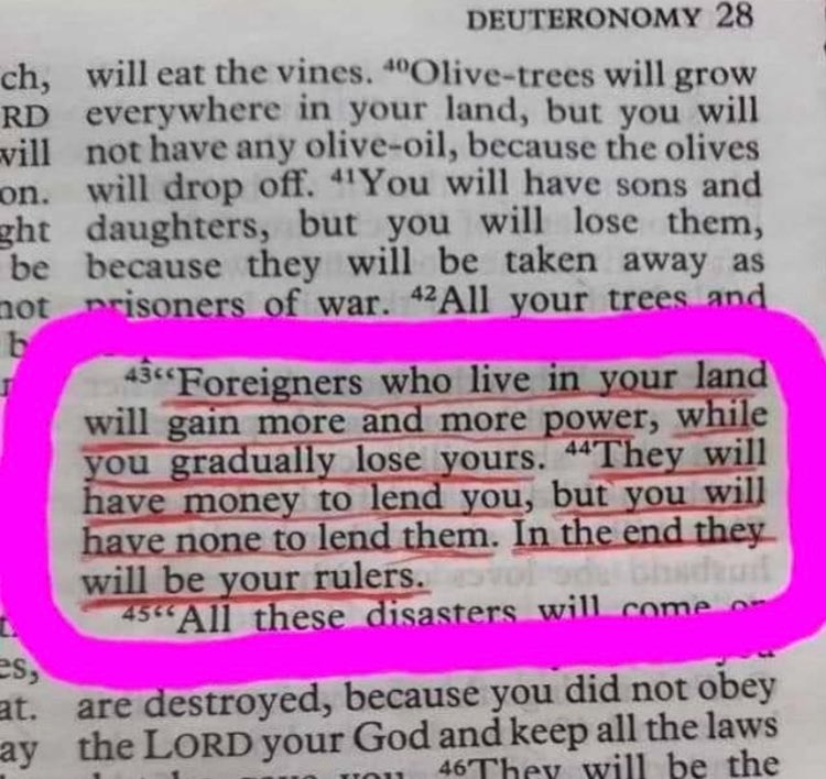 MichaelGreen77's tweet image. #NYC #Mamdani #Communist #Depravity #DarkDays  #GodHelpUs