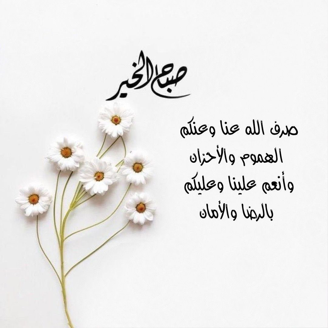 #صباح_الخير

"أصبحنا وأصبح الملك لله
اللهم إنا نسالك خير هذا اليوم وخير ما فيه
ونعوذ بك من شر هذا اليوم وشر ما فيه