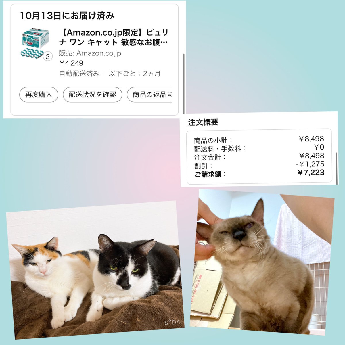 ゆきちよ成長期 on X