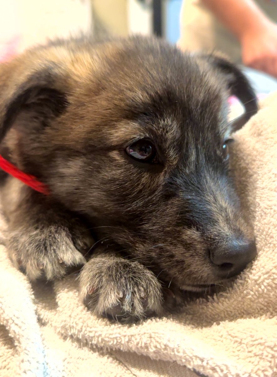 Christmas came early this year 🥰