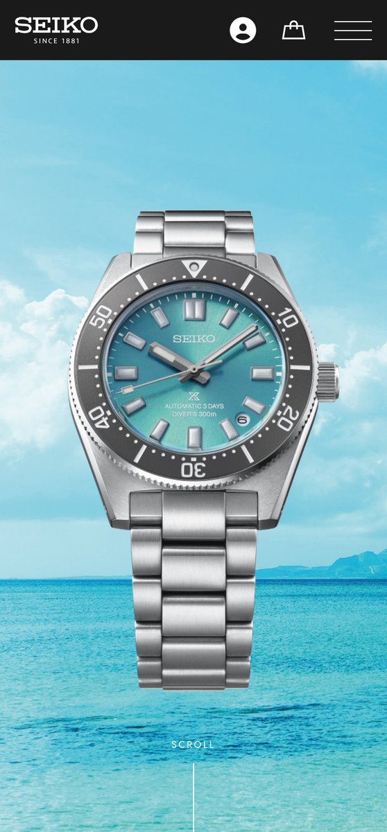 ホルミシスST-300 ゴールデンウィーク中大幅値下げ。このチャンスお見逃しなく hq720.jpg?sqp=-