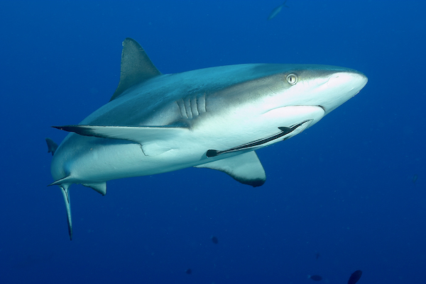 This months Special offers email ! - mailchi.mp/8ae17e030589/p…