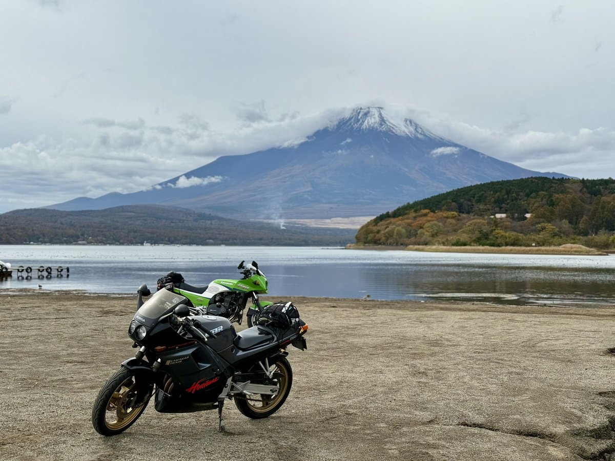 ✮ ɐ ʎ ɐ ✮🧄𝕄ℂ𝟙𝟟🫶🏻ℤ𝕏-𝟟ℝ ᐕ)ﾉ🍚 (@aaayaaa08109693