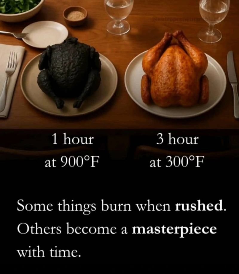 Ultimately, the best outcomes are often the result of finding the right balance and understanding that true growth is about the proper pace, not just speed.