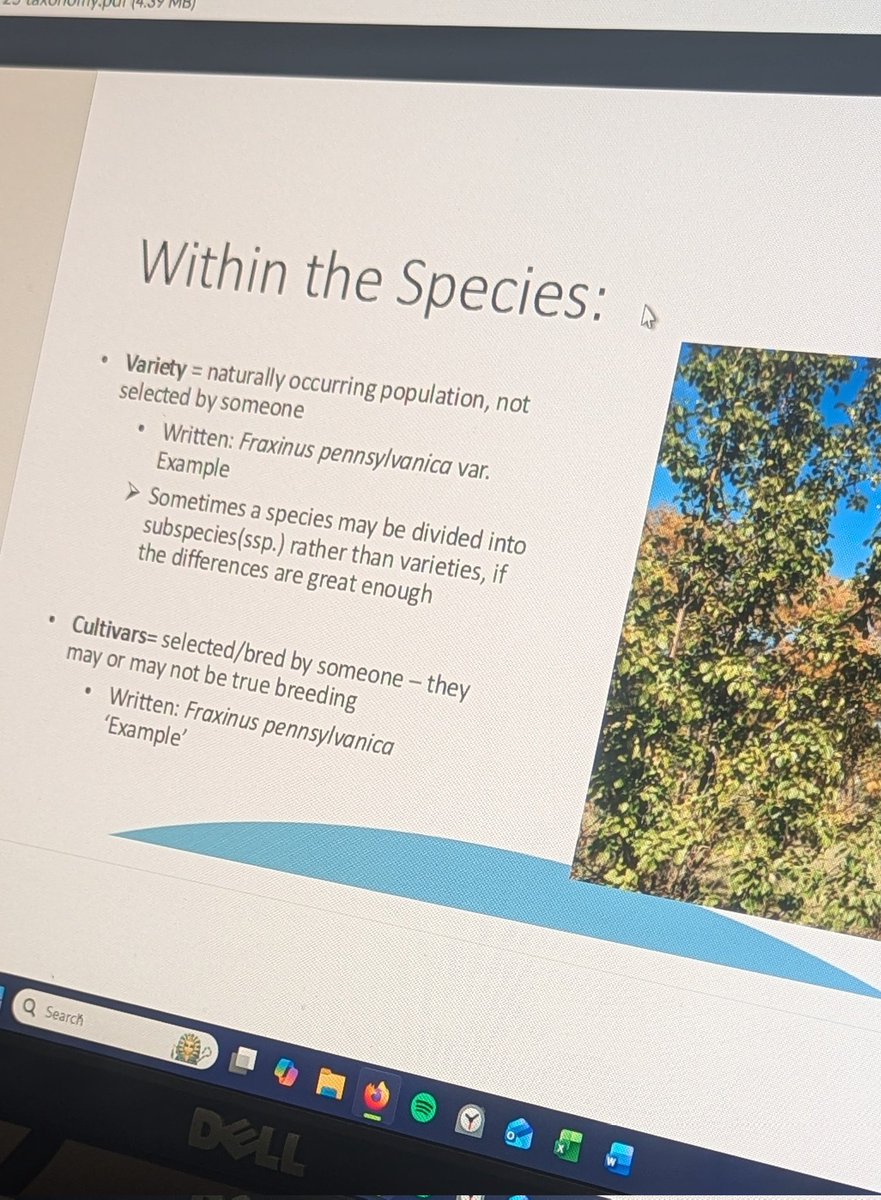 TempleGrower tweet media