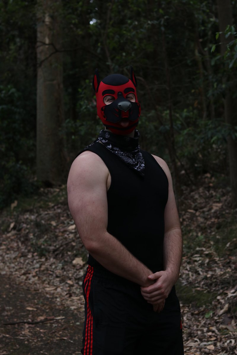 Hi woof! 

📸 <a href="/junixdawg/">Juni💛 🔜 literally nowhere</a>