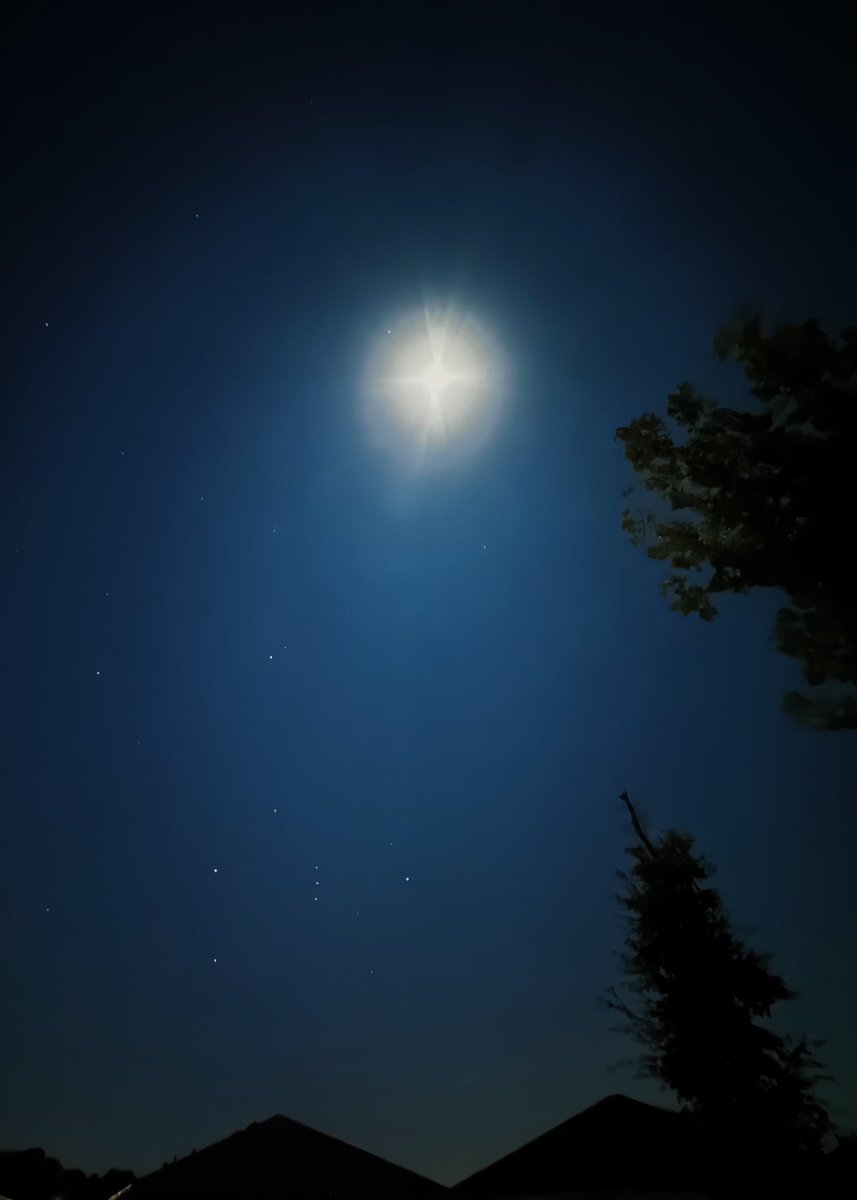 the moon and stars are so bright