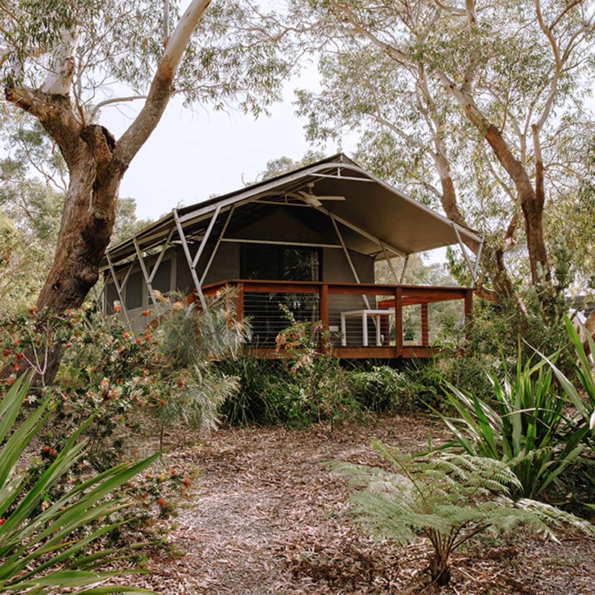 Glamping, but make it wild in the best way. 🌿⛺

Surrounded by bushland, birdsong, and the calm of nature, our glamping tents offer a stay that feels worlds away without leaving Port Stephens.

Book your stay now: bit.ly/3ItgrE6