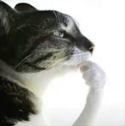 who want access to my priv?

you wont find much, just me wanting to die