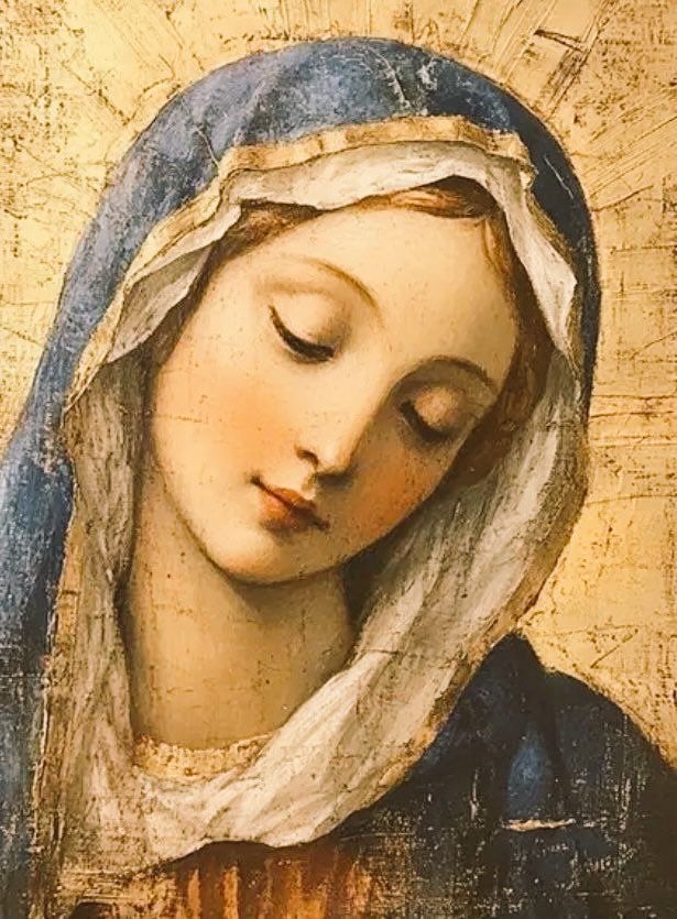 MrsCasey 🌟💒🌟 tweet media