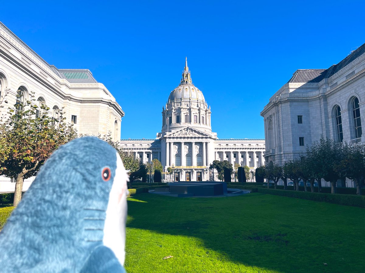 なんかすごい中庭に来ちゃったでパッチ🦈✨️🏰サメ王国の庭園にふさわしいサメな🦈👑💭
#IKEA #IKEAのサメ #IKEAshark #blahaj