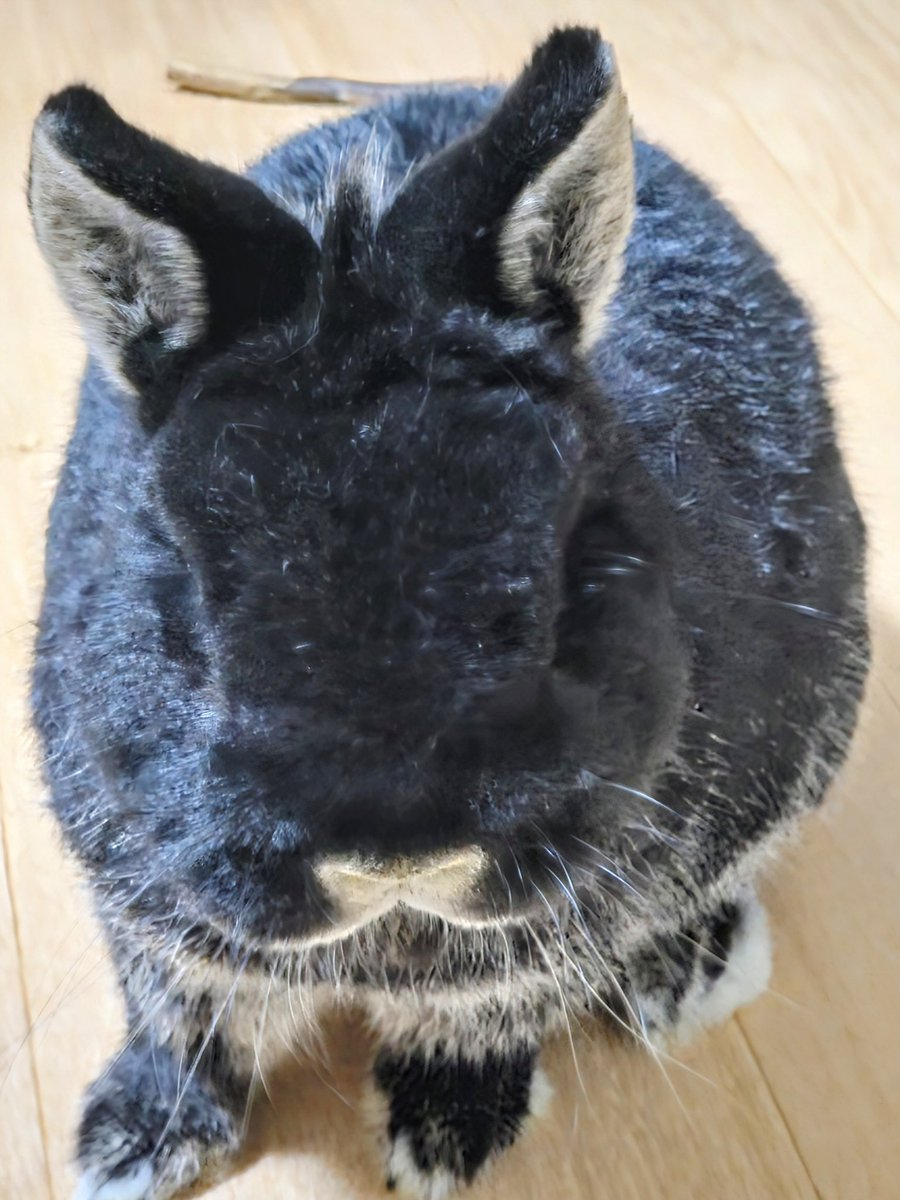 ぷっくりほっぺどうやったら撮れるんだ