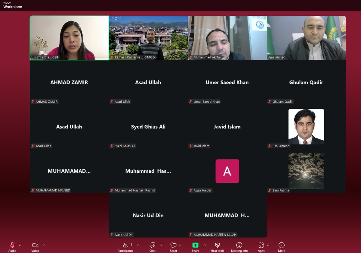 Alhamdulillah! Honored to conduct Pakistan’s 🇵🇰 Country Webinar on Biodiversity Data Mobilization with support from @ICIMOD &amp; @GBIF_Asia. Grateful to receive the Biodiversity Data Champion badge! 
Thanks to Lily &amp; Ramesh for their support. #Biodiversity #GBIF #OpenData