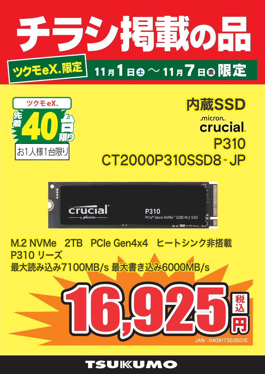 ソテツの確認用 BIGボタニカル］ソテツ 60-70cm 商品ページ - 土と風の