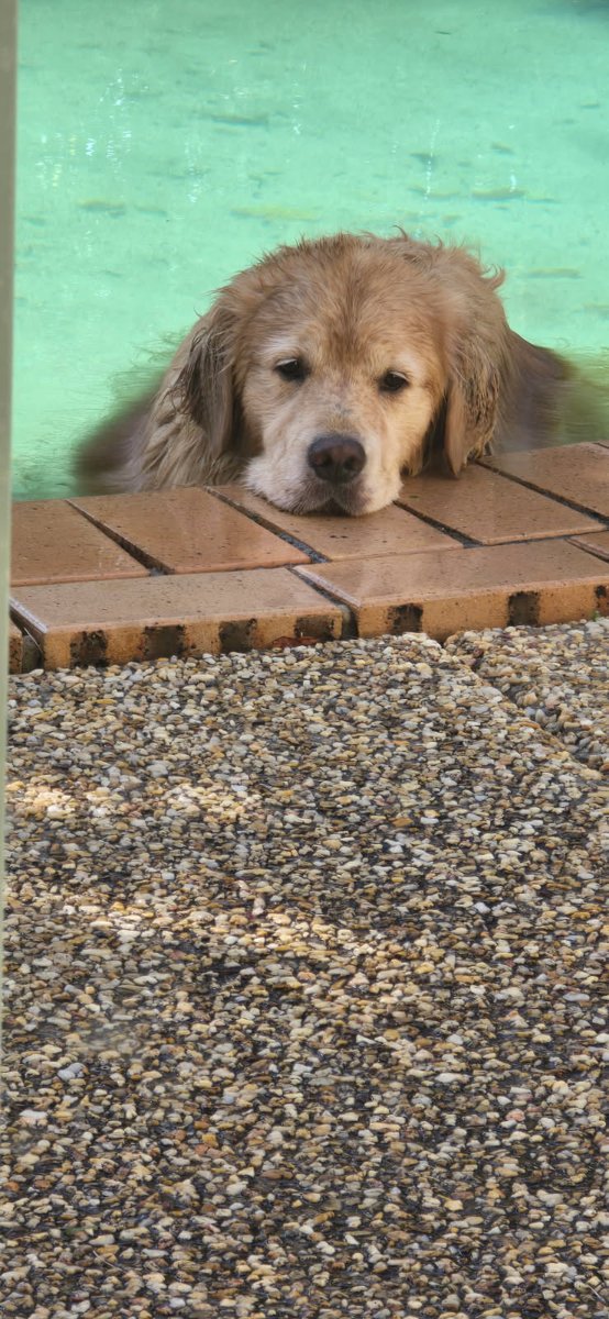 Timeline cleanse.
When are you getting back into the pool? I'm waiting.