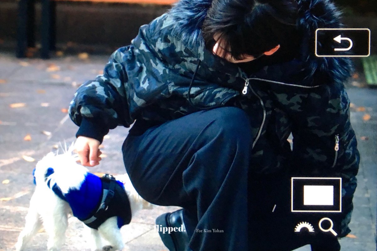 251105 쇼!챔피언 일일팬매

오잉? 강아지 두마리 있는데!?

#위아이 #WEi #김요한 #KIMYOHAN