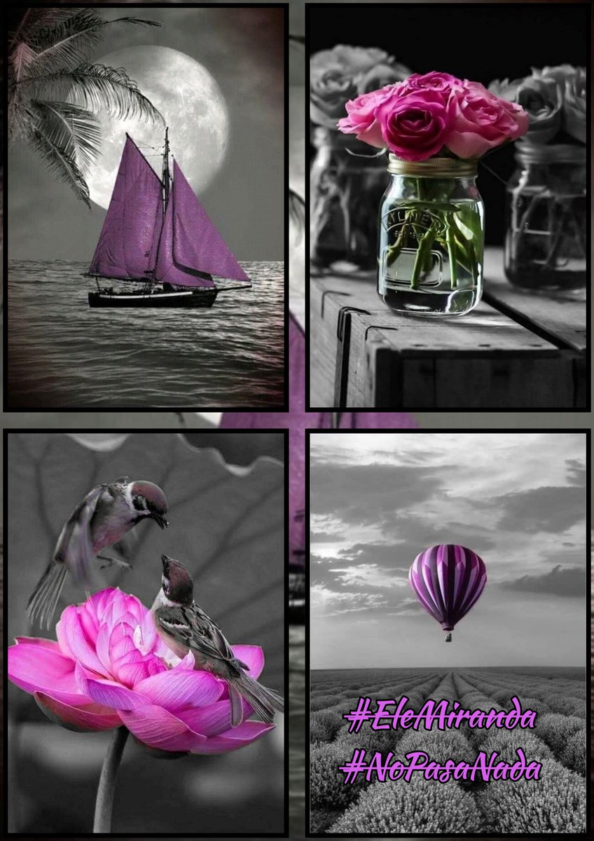 🌹❤️ELENA MIRANDA V.❤️🌹#E̲l̲e̲M̲i̲r̲a̲n̲d̲a̲ tweet media