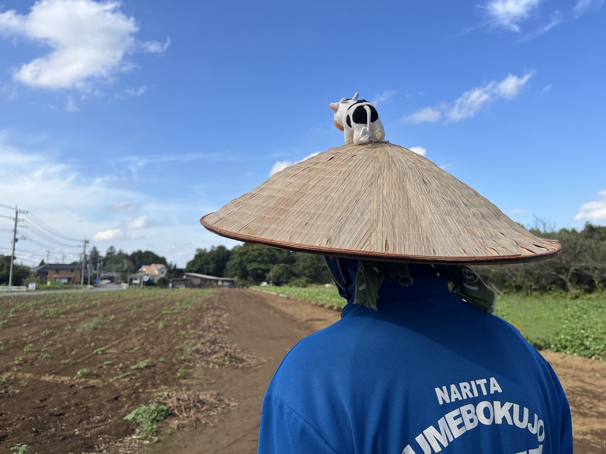 成田ゆめ牧場のゆめこちゃん (@yumebokujo) / Posts / X