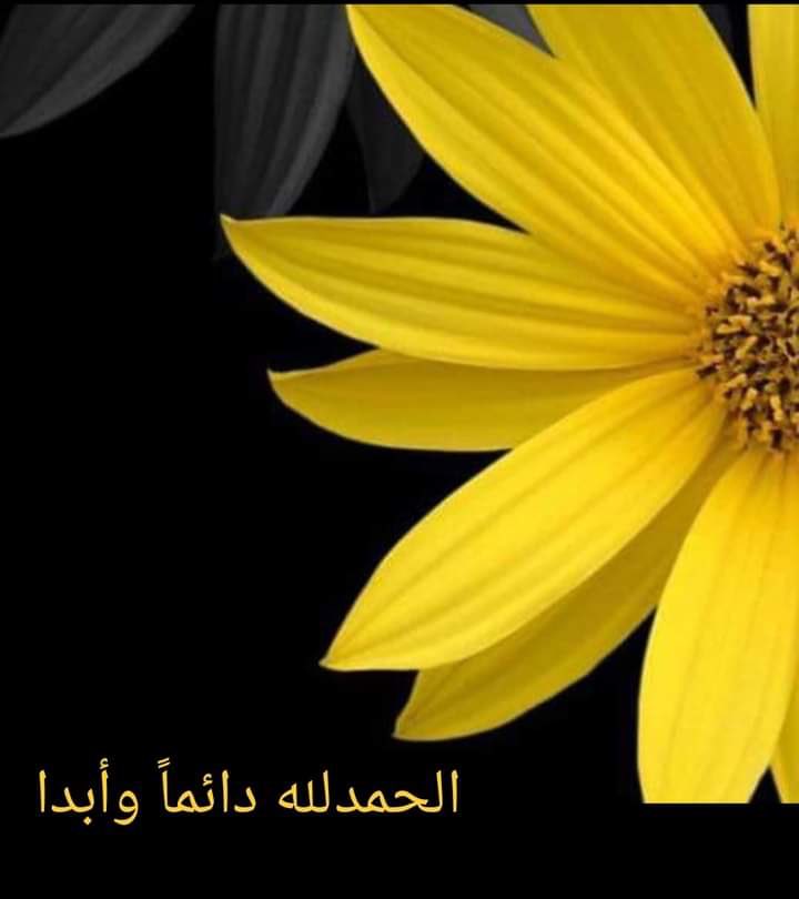 سلام علیکم 
Yepyeni bir güne yeniden uyandıran Allah'a sonsuz kere şükürler olsun.🤲

HAYIRLI SABAHLAR HERKESE. ☕