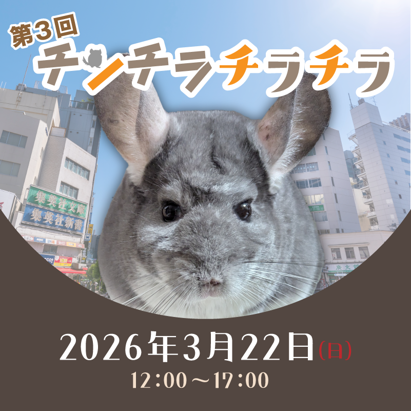 chinchirachira's tweet image. 第3回チンチラチラチラ、出展者募集チュウ🐭
応募は次のポストから！