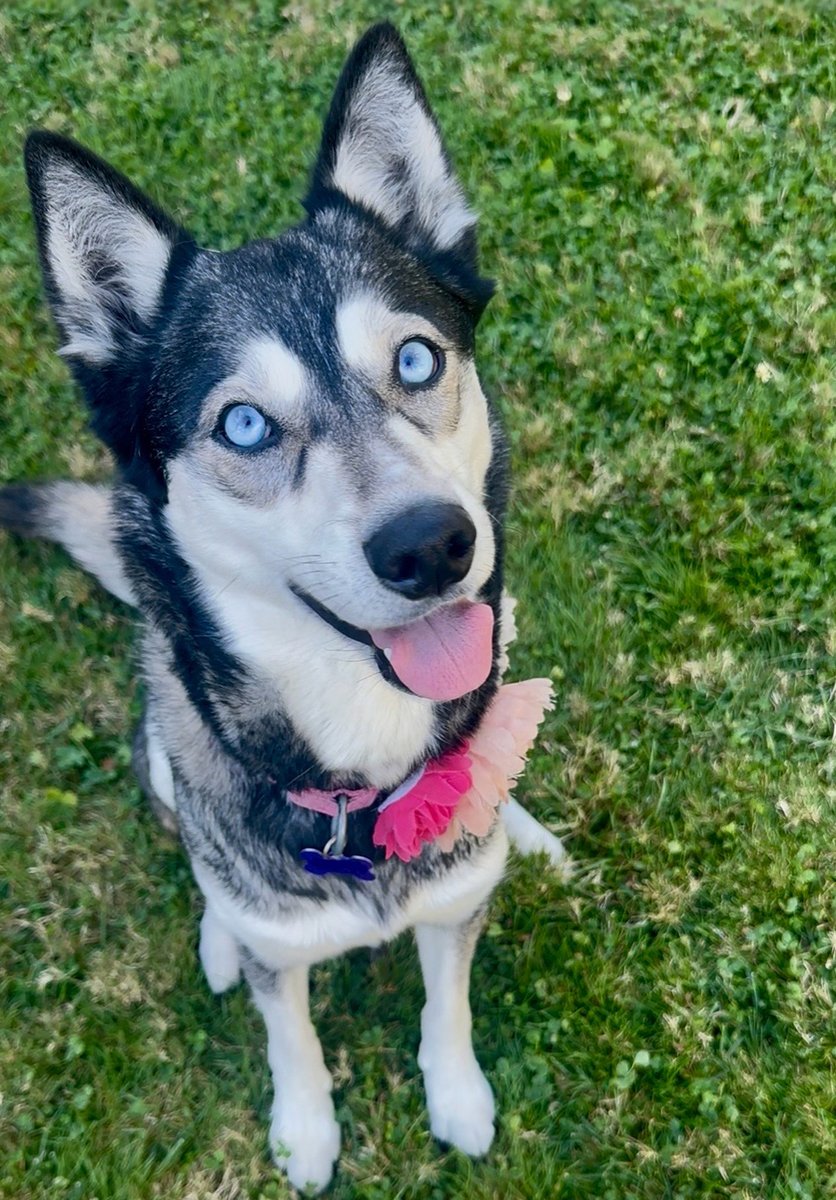 Kim Oliff tweet media