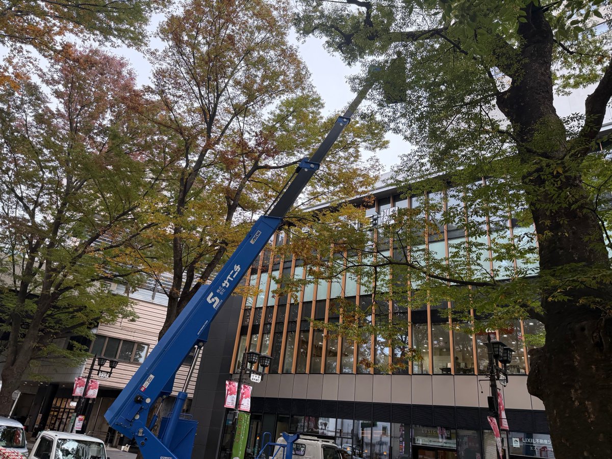 fuchu_douro's tweet photo. インフラマネジメント計画の取組
【維持管理】
🛣道路等包括管理事業🚧
全国初の取組であることから、効果を検証しつつ段階的に規模の拡大を行ってきました。
インフラ管理を効率的かつ継続的に行う中枢の取組として予防保全型管理に取り組んでいます。

写真はけやき並木の剪定の様子です。 https://t.co/ikF9tMGAlR