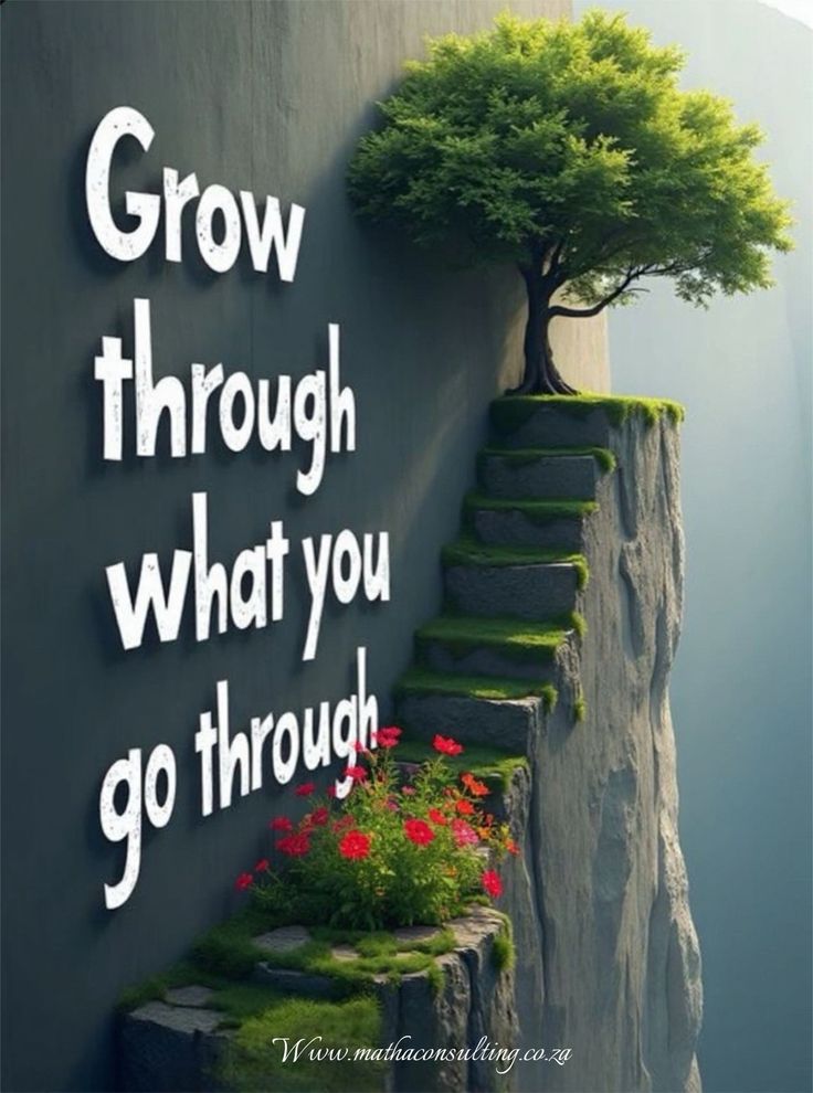 Gee_0ne1's tweet photo. Smart traders wait for structure confirmation.
Impulsive traders guess.
Wait for Break of Structure β Retest β Entry.
Simplicity beats complexity every time.
#ForexTips #PriceAction #TraderWisdom #FXMindset https://t.co/Z1uCsz7r9X