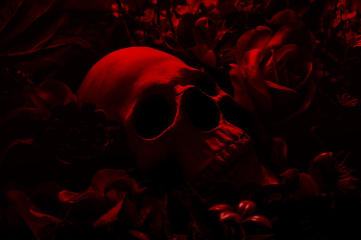 WatchPony ⭐ tweet media