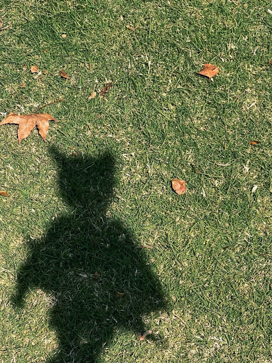 Orphée.

 #MELODY_C