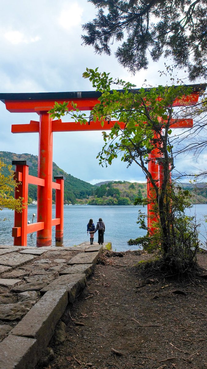 Avoococo アボーココ tweet media