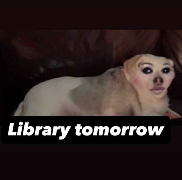 pinkpantheress and head oomfs tmrw ..