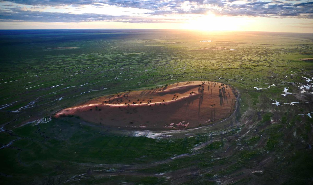 hot_rails's tweet image. Get ready for a lot more of this...