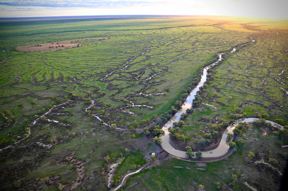 hot_rails's tweet image. Get ready for a lot more of this...