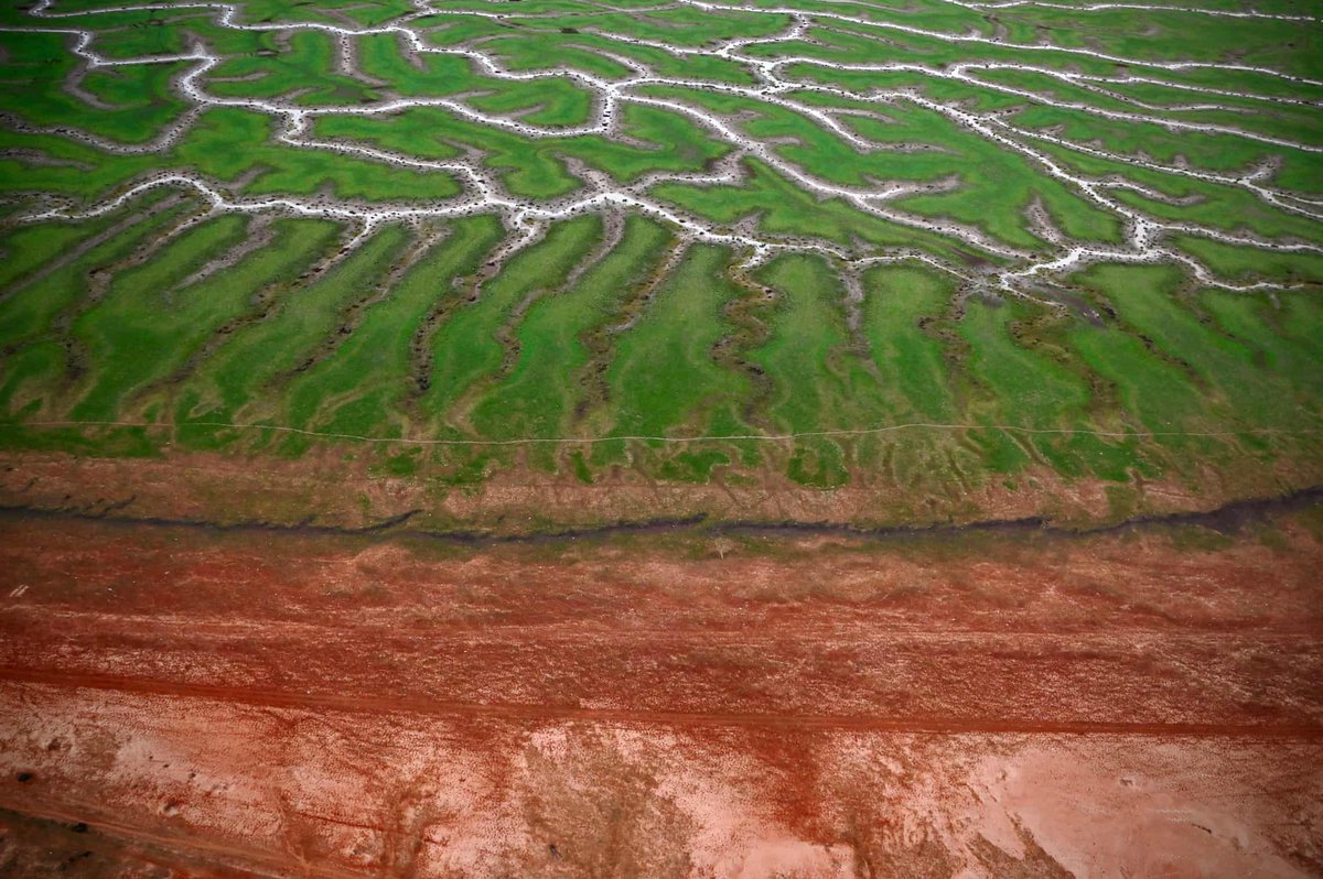 hot_rails's tweet image. Get ready for a lot more of this...