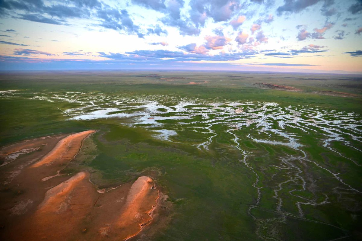 hot_rails's tweet image. Get ready for a lot more of this...