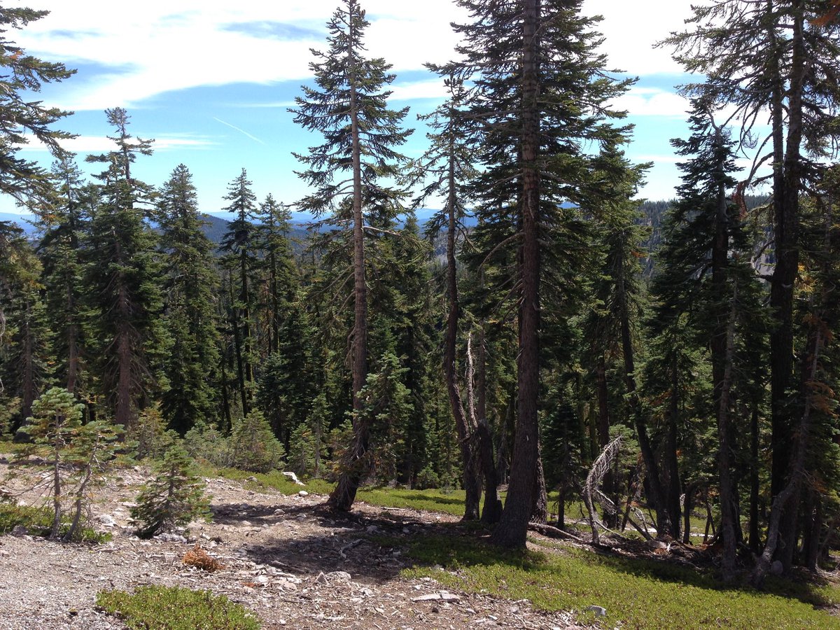 Have a nice day everyone! Goodnight from Arizona. 🌙