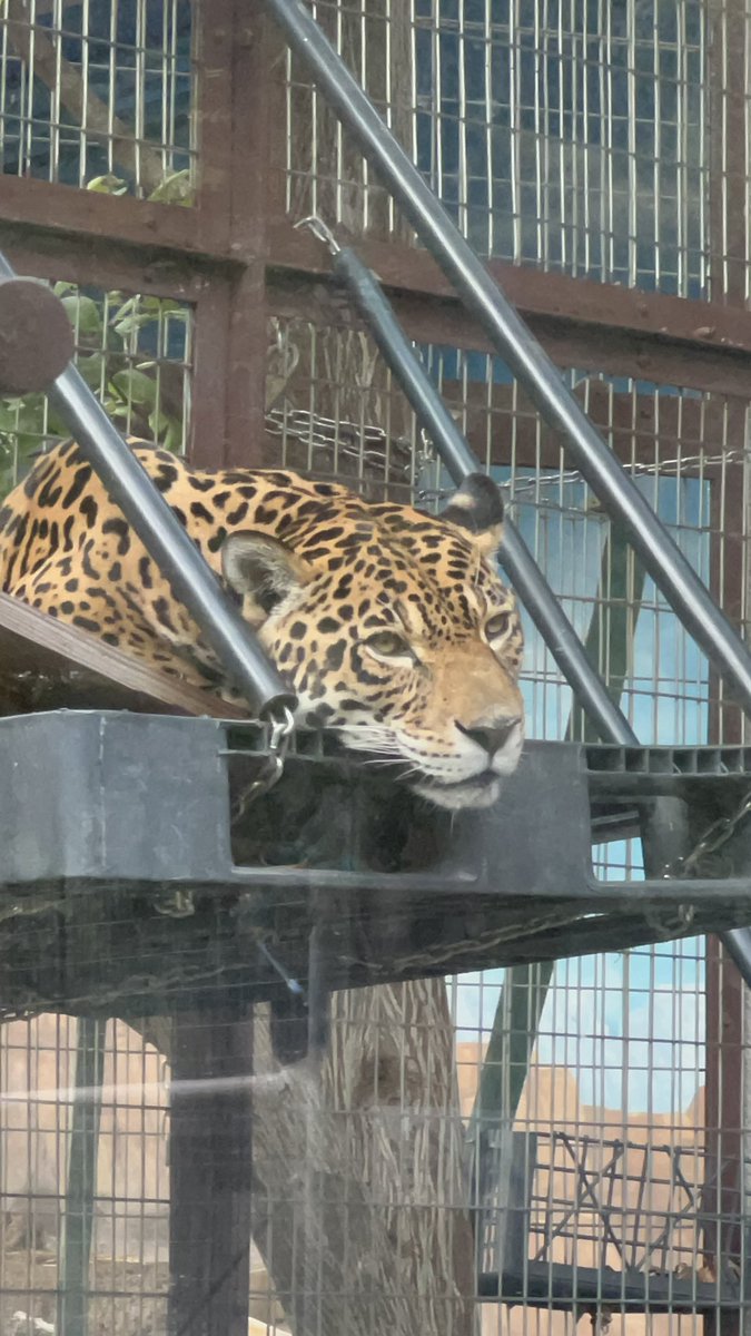 来年８月に向けて新しい作品と台本が進行中🆕
はやくお知らせ出来るように頑張ります✨