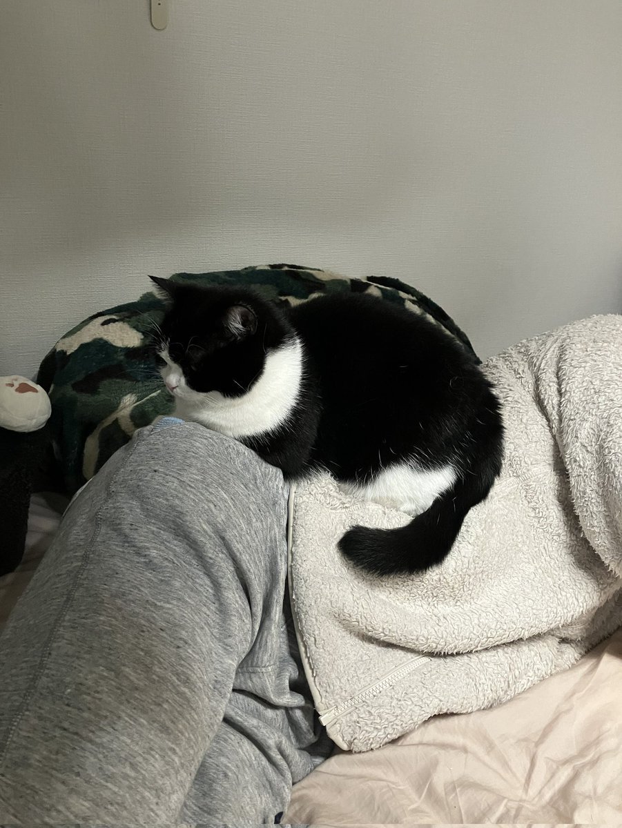 動けない🥹🥹🥹