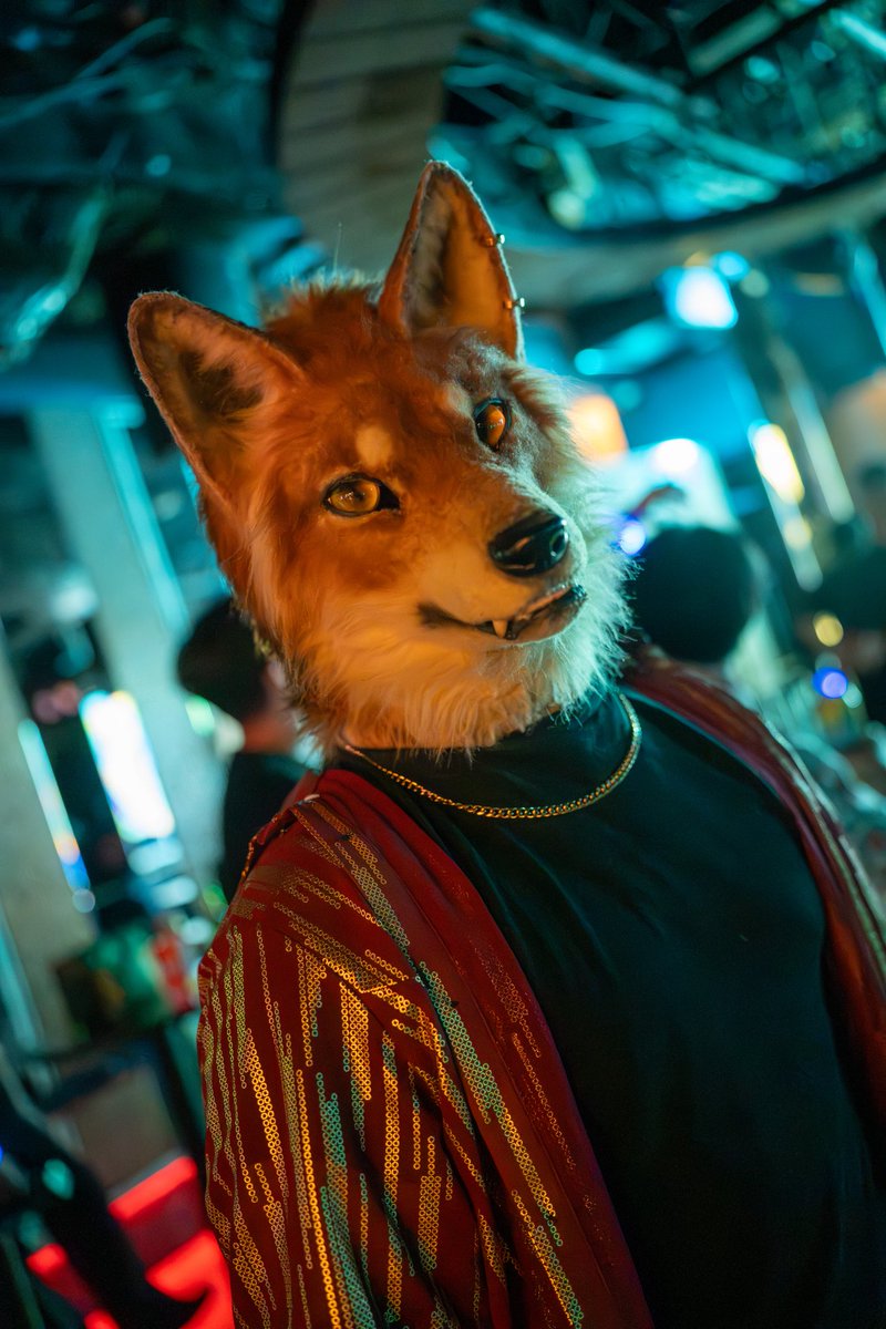 Let's dance?

#FursuitFriday
#創造トリアノン
#EGO01 

📸 Photo by <a href="/ZK_AZLF/">ゼク</a>