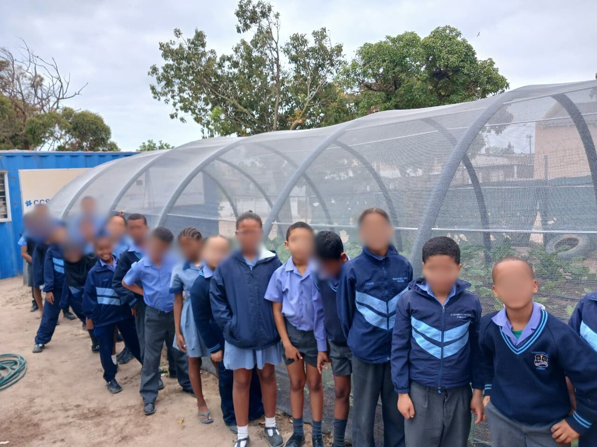 Yesterday, our Grade 3 learners from Steenbergs Cove Primary had a fun and hands-on Life Skills lesson about growing plants! 

The classroom came alive with curiosity and excitement as learners explored how plants grow and why they’re so important to our world.