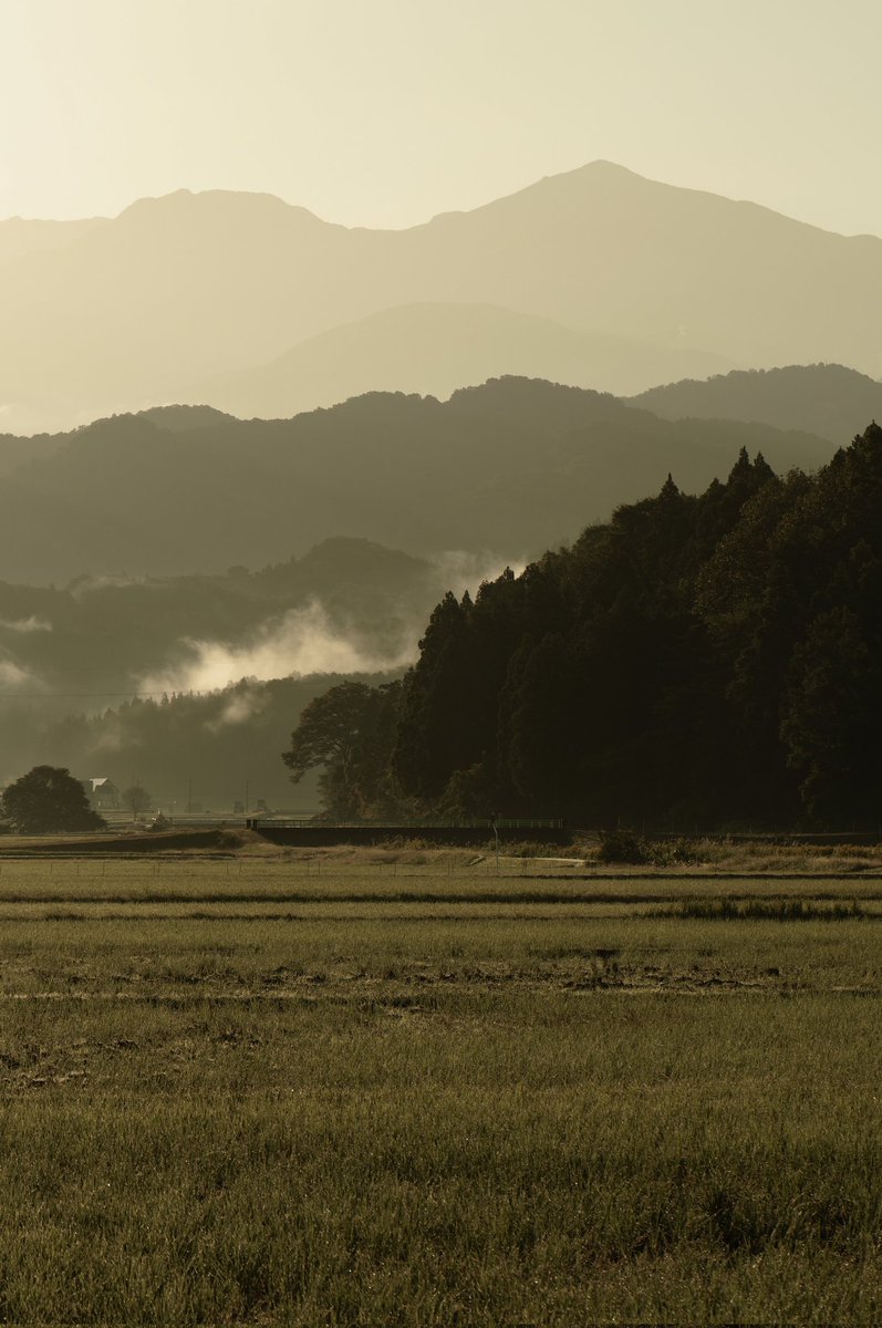 gaolang3c's tweet image. グラデーション
SIGMA fp L & Lumix S 24-105 F4 Macro O.I.S
#naturephotography #naturelovers #sigmafpl #sigma #sigmalens #naturephotography #NatureLovers