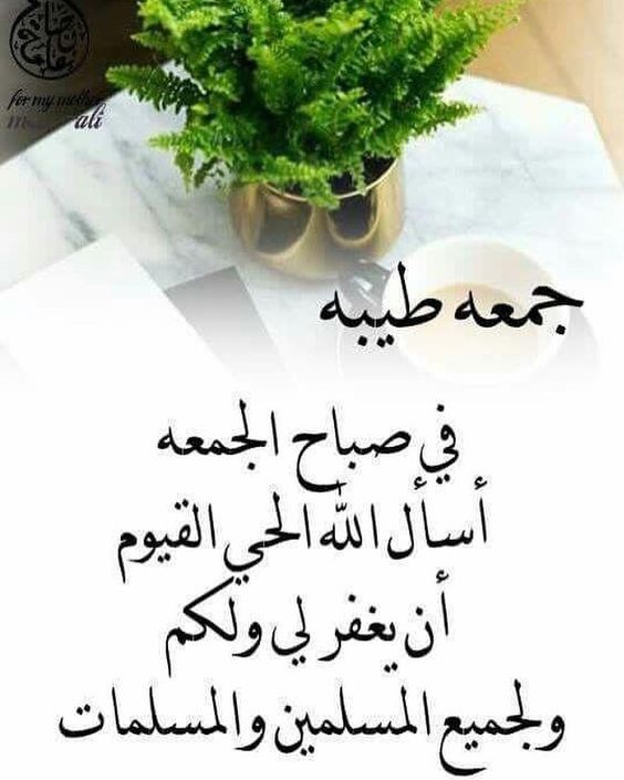 بن عايض ♧ (@crz5050) on Twitter photo 