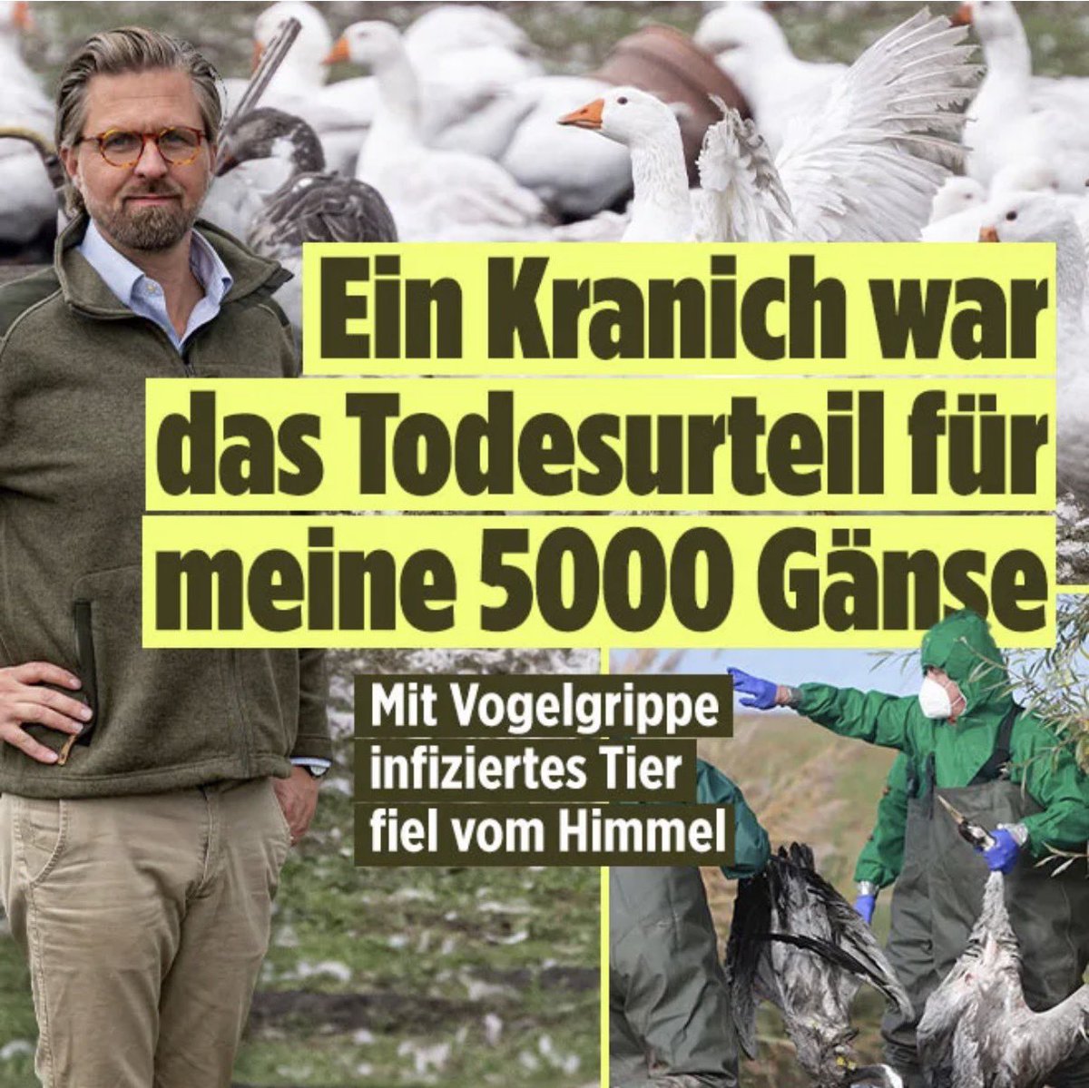 oh man der arme hat seine 5k tiere sicher geliebt und nicht bloß verwahrt um sie danach an ein schlachthaus zu verkaufen