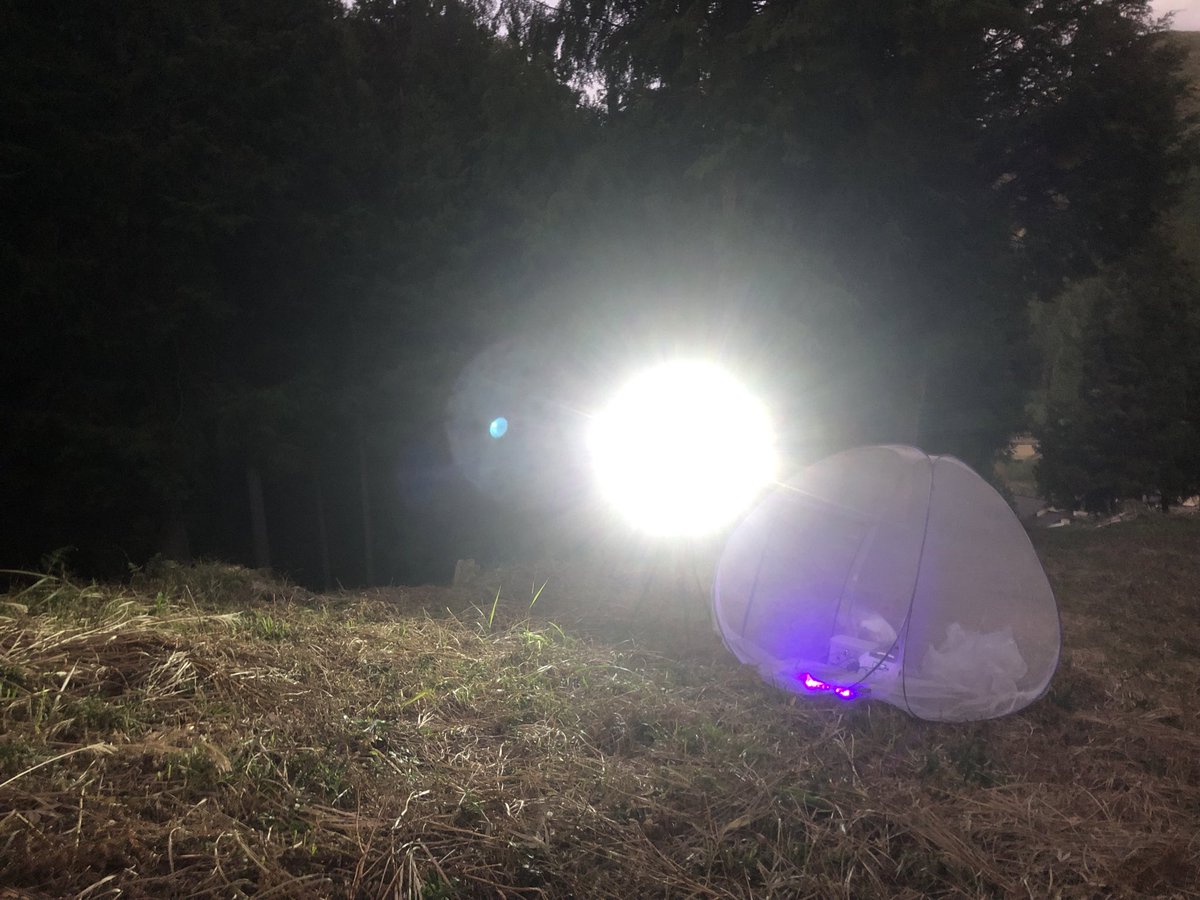 ぽぽぽ 470355104.jpg